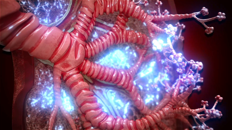 Gesundheitsbranche – 3D-Animation für Helmholtz Zentrum München