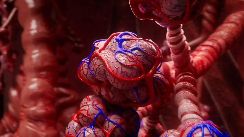 Gesundheitsbranche – 3D-Animation für Helmholtz Zentrum München