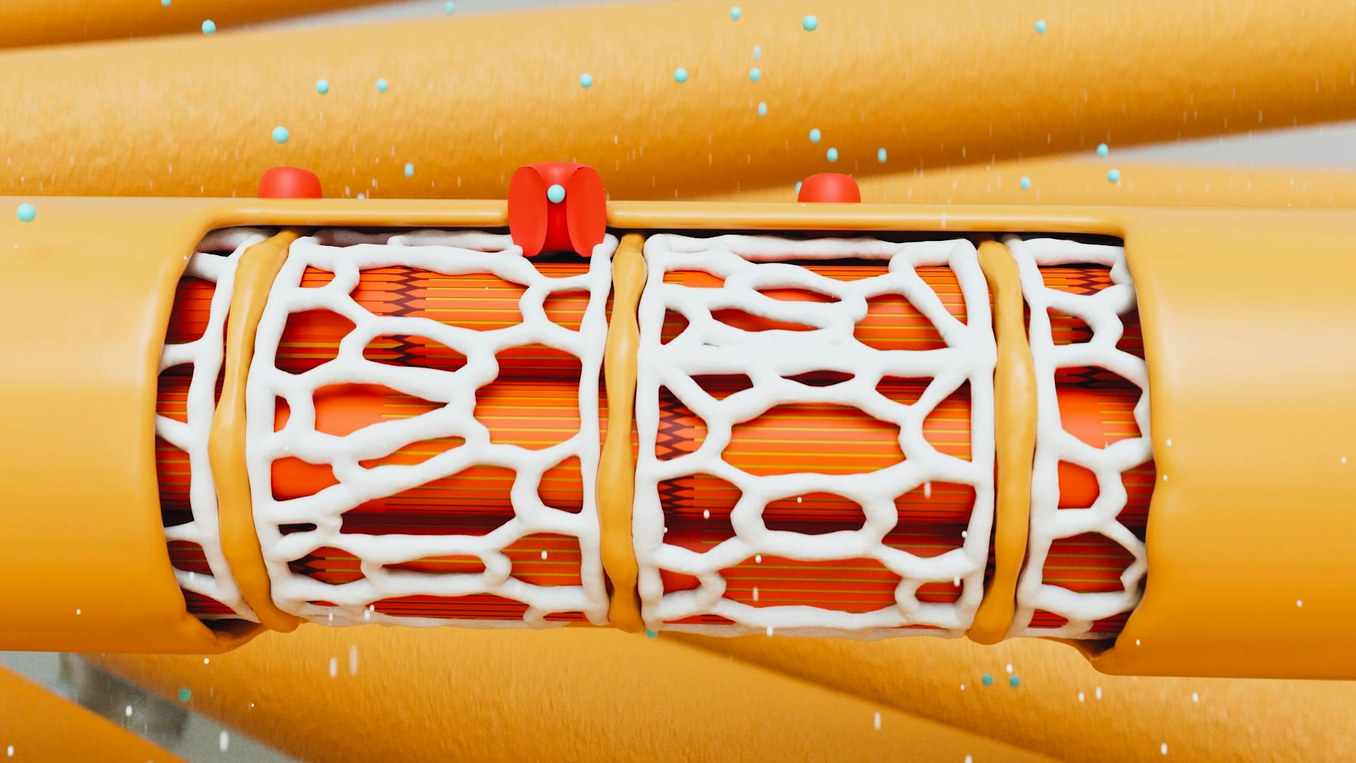 Medizinische 3D-Animationen sind unter anderem sehr hilfreich, um nach Außen hin nicht sichtbare Vorgänge im menschlichen Körper darzustellen.