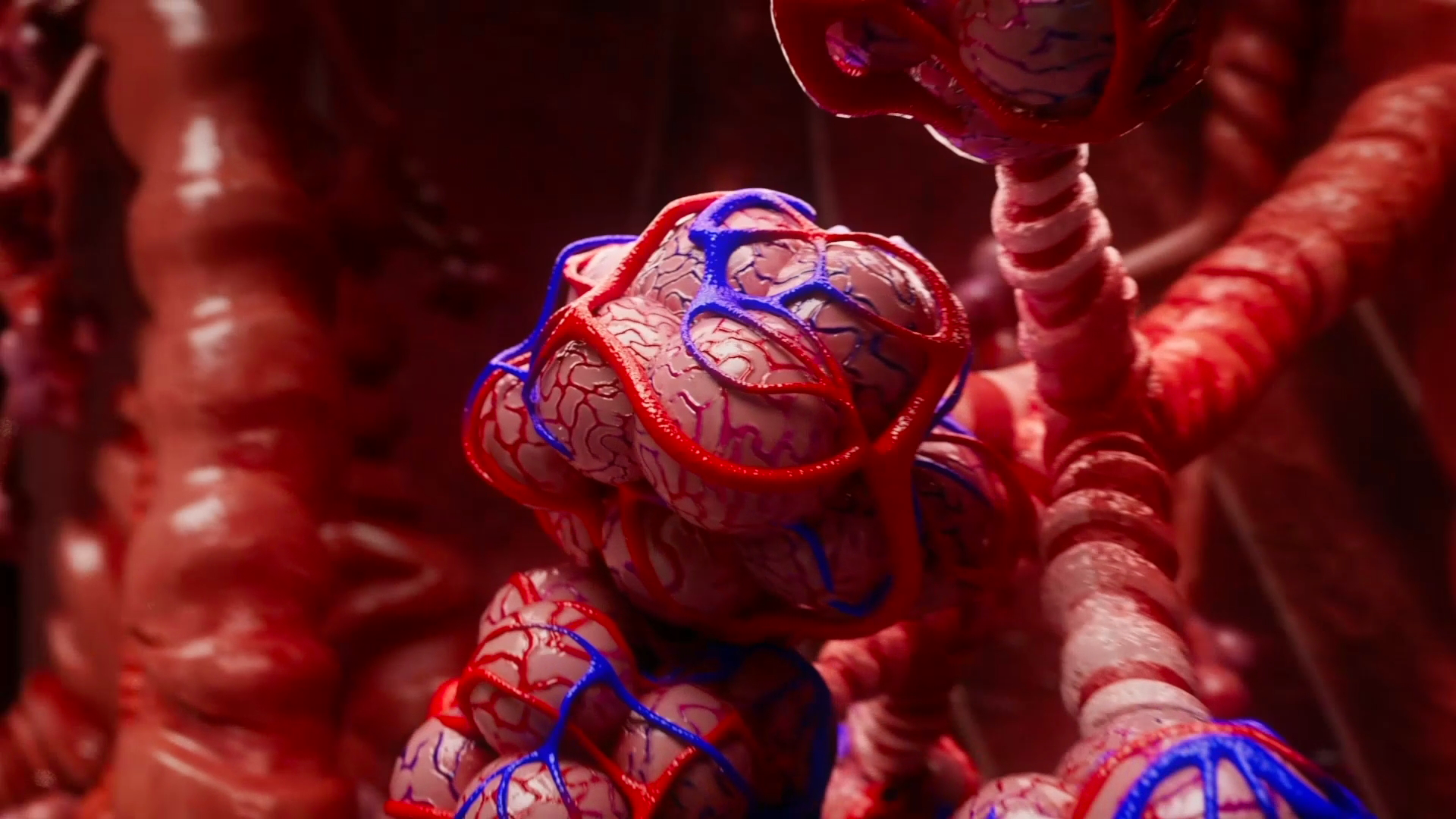 Die Wahl der richtigen Agentur für 3D-Animatinon ist bei medizinischen Animationsvideos entscheidend. 